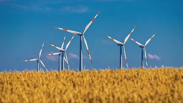 Windmill